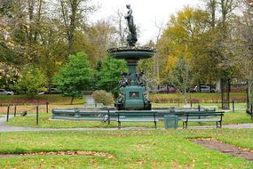 Halifax, Park, Nature, Canada, Autumn