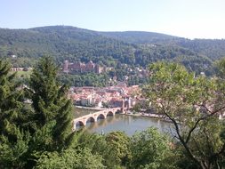 Heidelberg, City, Nature, Germany