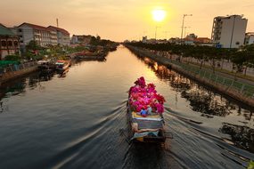 Flower, Market, Vietnam, The City, Each