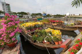 Flower, Market, Vietnam, The City, Each