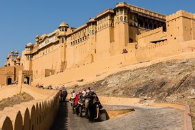 India, Jaipur, Amber Fort, Elephant
