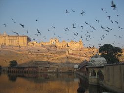 Jaipur India Rajasthan Amer Fort Jaipur Ja