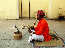 India Jaipur Snake Charmer Jaipur Jaipur J