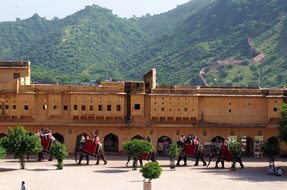 Jaipur Fort Elephants Architecture Rajasth