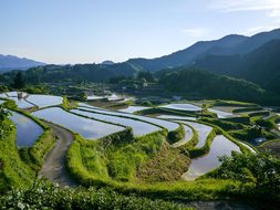 Japan Rice Terraces Kumamoto Green Rice Ya