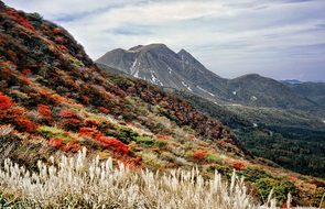 Aso, Kumamoto, Japan, Autumnal Leaves