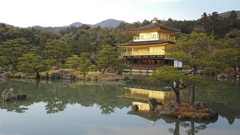 Golden Pavilion Japan Kyoto Temple Golden