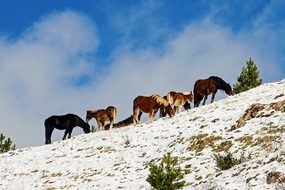 Campotosto, L'Aquila, Abruzzo, Italy