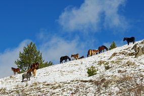 Campotosto, L'Aquila, Abruzzo, Italy