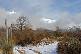Gran Sasso, Tree, Branches, Snow