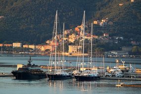 Port, La Spezia, Italy, Boats