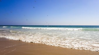 Beach Sea Summer Holiday By The Sea Lisbon