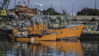 Fishing, Mar Del Plata, Sea, Boat, Water