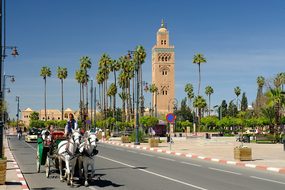 Street, City, Travel, Architecture