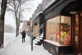 Snow, Winter, Store, Vitrine, Cold