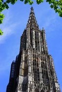 Ulm Cathedral, MÃ¼nster, Ulm, Building