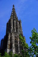 Ulm Cathedral, MÃ¼nster, Ulm, Building