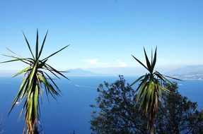 Italy, Capri, Island, Mediterranée