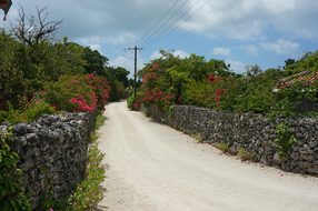 Japan, Okinawa, Landscape, Island