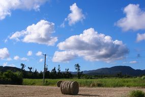 Grass, Soil Mechanics, Utility Pole