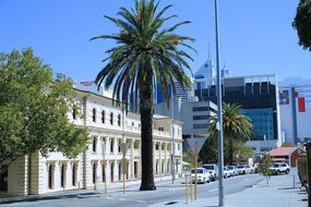 Palms Street Perth Western Australia Austr