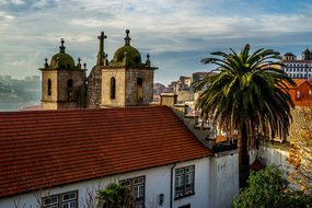 Porto Portugal Houses Palm Architecture La
