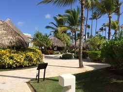 Garden, Flower Garden, Flowers, Resort