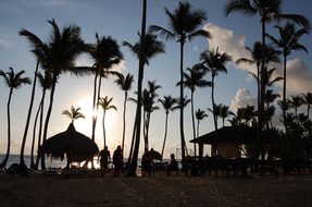 Punta Cana, Caribbean, Palms, Hotel