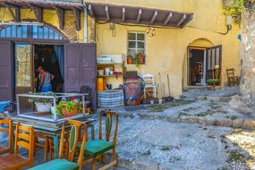 Rhodes Greece Cat Greek Mediterranean City