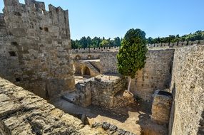 Rhodes Castle Greece Cat Ruins Fort Greek