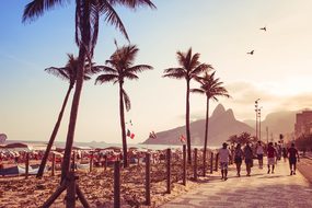 Beach Rio De Janeiro Sol Summer Sunset Bra
