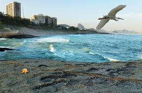 Mar Ocean Beach Orla Litoral Rio De Janeir