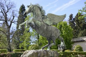 Salzburg Pegasus Horse Fluegelross Winged