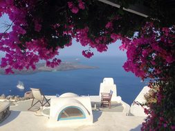 Island Greece Santorini Flowers Blue Trave