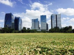 Park People'S Park Brazil Sampa Sao Paulo