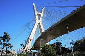 Bridge, Cable-Stayed, São Paulo