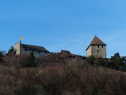 Castle Hohenklingen, Castle