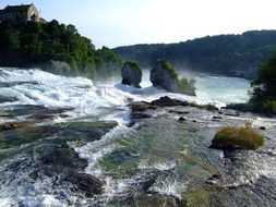 Rhine, Rhine Falls, Schaffhausen