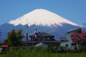 Mt Fuji Gotemba Satsuki May Carp Streamer