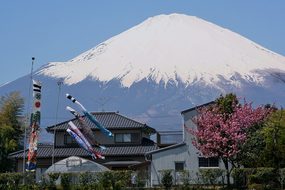 Mt Fuji Gotemba Satsuki May Carp Streamer