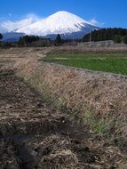 Mt Fuji, Field, Winter, Snow, Blue Sky