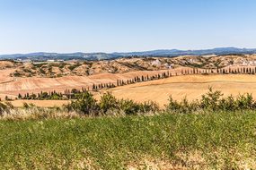 Crete Senesi, Siena, Italy, Tuscany