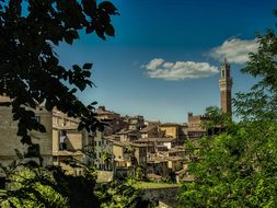 Pisa Italy Village Town City Mediterranean