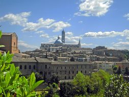 Siena, Italy, Europe, Tuscany, Italian
