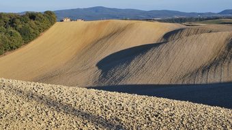 Lands Of Siena, Tuscany, Italy, Campaign