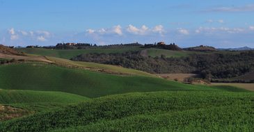 Val D'Arbia, Siena, Italy, Landscape
