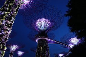 Singapore, Supertree Grove, Background