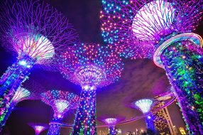 Singapore Gardens By The Bay Long Exposure