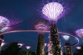 Light, Festival, Evening, Color