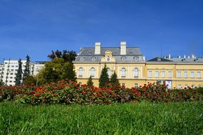 Sofia, Gallery, Museum, Capital